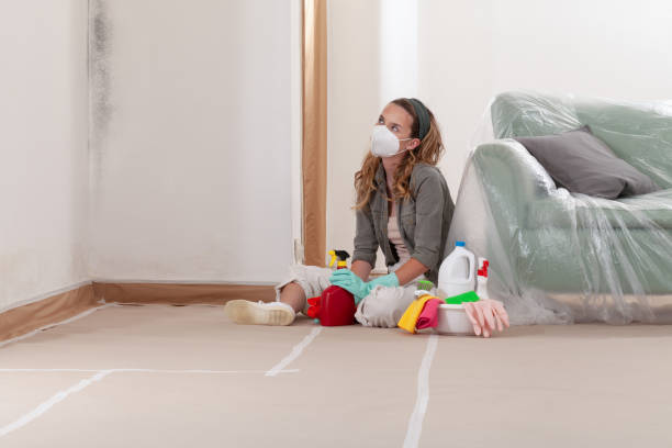 Reliable Mold Remediation contractor in Alexandria, VA by WQB Mold Removal